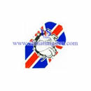 Tungsten Alloy Darts picture